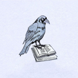 Raven On Book