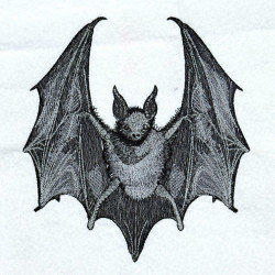 Halloween Vampire Bat