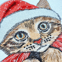 Cute Christmas Kitten