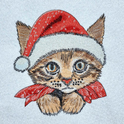 Cute Christmas Kitten