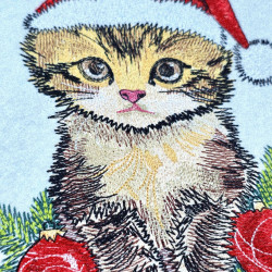 Christmas Fluffy Kitten