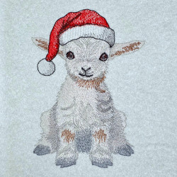 Christmas Lamb Sitting