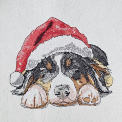 Berner Dog With Santa Hat