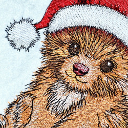 Fluffy Puppy With Santa Hat