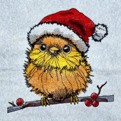 Winter Colorful Robin