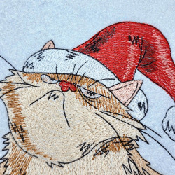 Grumpy Christmas Cat