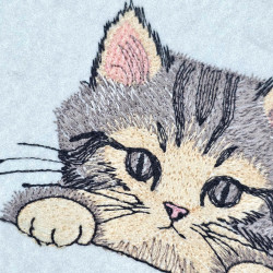 Peeking Cat Face Straight View