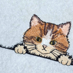 Playful Peeking Cat Face