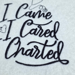 I Came I Cared I Charted