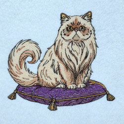 Persian Cat On Cushion 