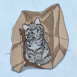 Cute Kitten In Paper Bag