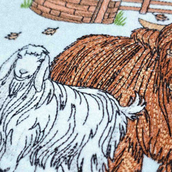 Highland Cow And Sheep