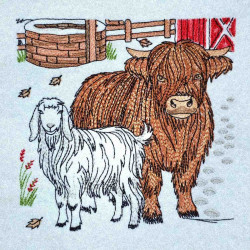 Highland Cow And Sheep