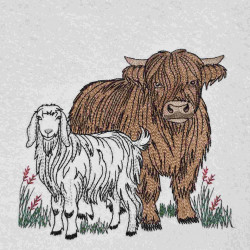 Highland Cow And Sheep