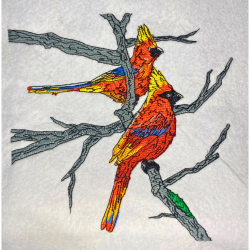 Cardinal Companions On Branch