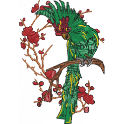 Elegant Crested Parrot