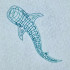 Whale Shark Line Art
