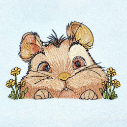 Cute Hamster Peek