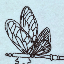 Butterfly On A Key Design