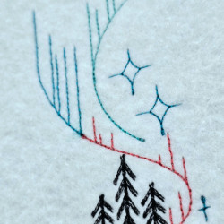 Aurora Lights Over The Forest