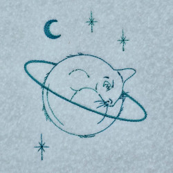 Cat In Space