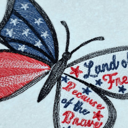 American Flag Butterfly