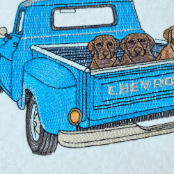 Dogs In The Old Chevy