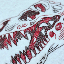 Fossil Dinosaur Skull