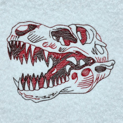 Fossil Dinosaur Skull