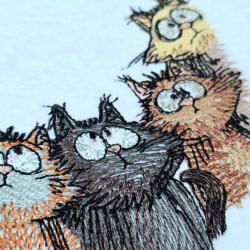 Curious Cats Gathering