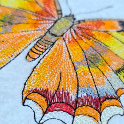 Autumn Garden Butterfly