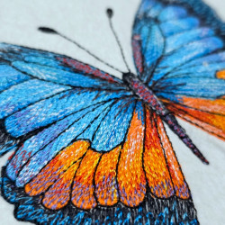 Bright Blue Butterfly