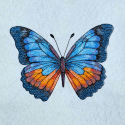 Bright Blue Butterfly