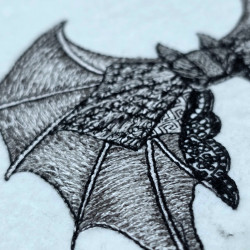 Bat Wing With Maroon Touch Bow