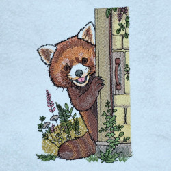 Smiling Peeking Raccoon