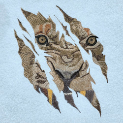 Tiger Face Scratch