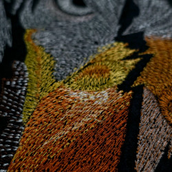 Eagle Face Scratch