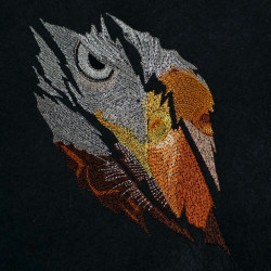 Eagle Face Scratch
