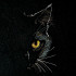 Mystic Cat Eye Sketch