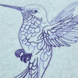 Hummingbird Line Art