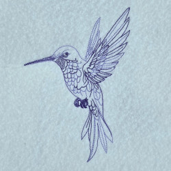 Hummingbird Line Art