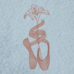 Ballet Pointe Shoes With Lily