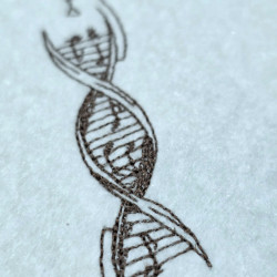Musical DNA Helix