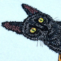 Eerie Cat In Pumpkin