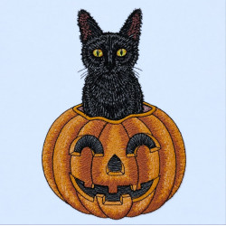 Eerie Cat In Pumpkin