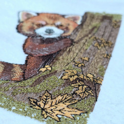 Cute Peeking Raccoon Around Tree