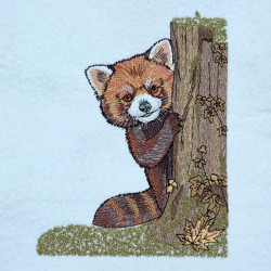Cute Peeking Raccoon Around Tree