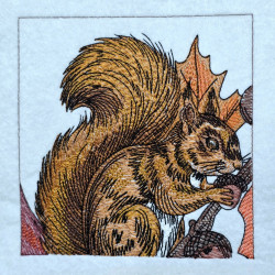 Woodland Squirrel With Acorns Panel Embroidery Design