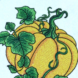 Autumn Pumpkin With Curling Vines