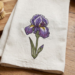 Iris Flower